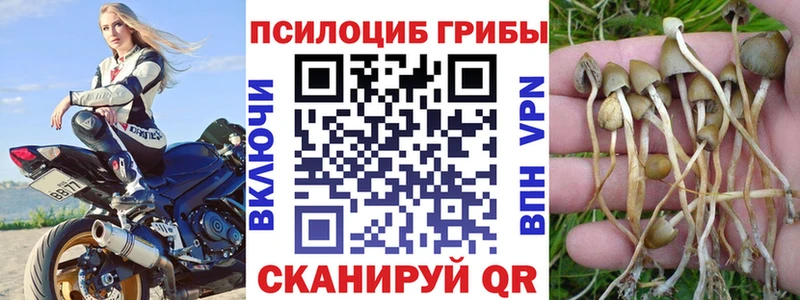 Галлюциногенные грибы Cubensis  наркошоп  Тихвин 
